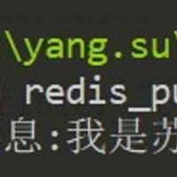 python3中redis订阅功能基本使用方法