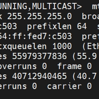 ubuntu20.04设置静态IP