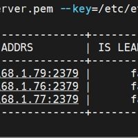 centos7使用二进制部署TLS加密etcd集群