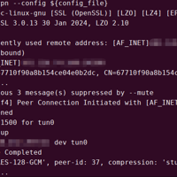 ubuntu安装openvpn并配置连接
