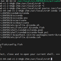 linux使用miniconda安装pytorch框架